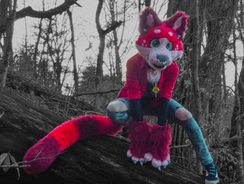 Photoshoot with Character Costume (Costume made in 2021)