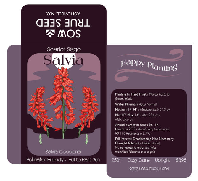 Salvia Seed Pack Layout and Illustration