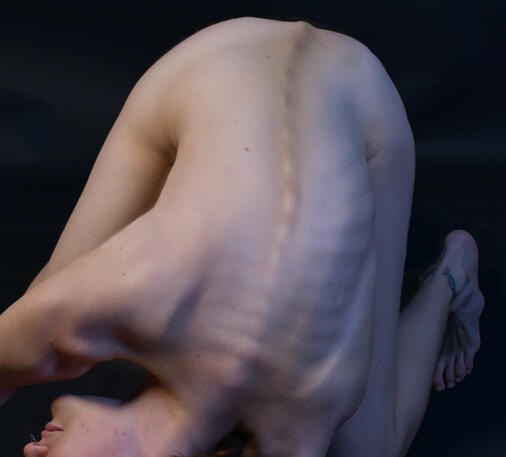 "Amalgam" Digital Photoshop (2026)