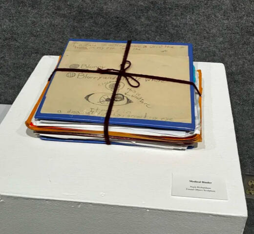 Medical Binder- Found Object (2026)