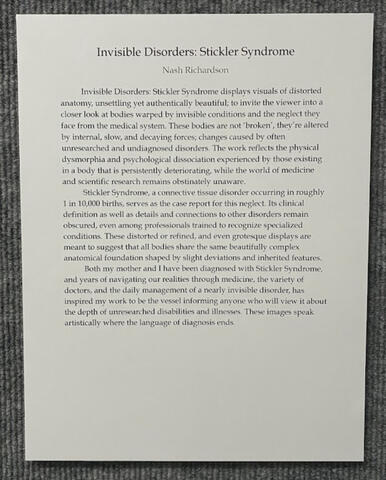 Artist's Statement