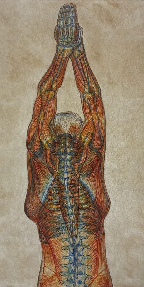"Divers' Sketch" Traditional Illustration (2026)